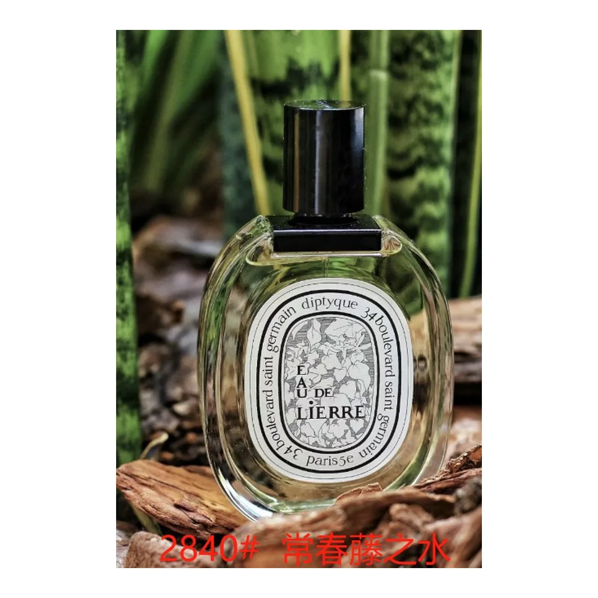 Diptyque New piece